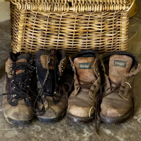 酒店 卫斯利安酒店