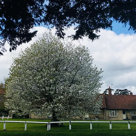 卫斯利安酒店 3* Hovingham